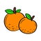 Orange Fruits with colored Hand drawn lineal doodle style