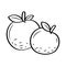Orange Fruits with Hand drawn lineal doodle style