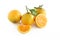 Orange fruits on an isolated background.