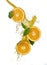 Orange fruits and Splashing juice