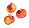 Orange full autumn color three little apples