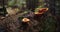 Orange fungi growing on forest log. Natural macro shot with moss and forest background