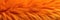 An Orange Fur Background Texture Featuring Natures Fluffy And Colorful Wool