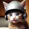 Orange fur kitten wearing a gray helmet,generated illustration with AI