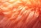 an orange fur texture close up, digital manipulation
