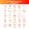 Orange Futuro 25 Business Icon Set