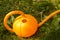 Orange garden watering can in the form of pumpkin stands on the grass