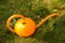 Orange garden watering can in the form of pumpkin stands on the grass