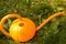 Orange garden watering can in the form of pumpkin stands on the grass