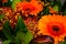 Orange gerbera flowers bouquet, close up. Floral background