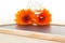 Orange gerberas and white dianthus on blackboard