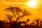 Orange glow of an african sunset