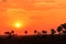 Orange glow sunset in a African landscape