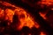 Orange glowing and smoldering wood in a campfire. Close up of burning wood.. Stock picture