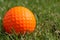 Orange golf ball on the grass