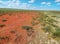 Orange grass in the steppe.