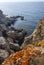 Orange and gray lichens on coastal limestone stones and rocks in Crimea, Tarkhankut