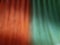 Orange and Green Broom in Blur Closeup Image