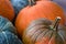 Orange and green edible pumpkins full frame