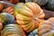 Orange and green `Musque de Provence` pumpkin