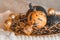 Orange and green pumpkins, cones and a garland on a golden tray