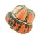 Orange and green striped Turban squash