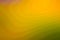 Orange green textured vibrant Web Site Background