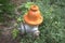 Orange and grey fire hydrant.