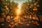 an orange grove with lots of oranges growing. ai generative