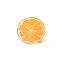 Orange half cut circle citrus fruit color sketch