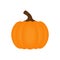 Orange halloween pumpkin vegetable vector