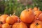 Orange halloween pumpkins on stack of hay or straw in sunny day, fall display