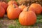 Orange halloween pumpkins on stack of hay or straw in sunny day, fall display