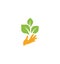 Orange hand with green leaves. Sprout, new life. Nature element logotype. Agricultural organic product sign. Harvesting