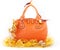 Orange handbag