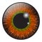 Orange, hazel iris eye realistic vector set design isolated on