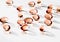 Orange herbal capsules for healthy diet nutrition, pharma brand store, probiotic drug pills as healthcare or supplement