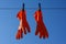 Orange hygienic household silicone mittens are dried on a clothesline against a blue sky