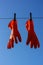 Orange hygienic household silicone mittens are dried on a clothesline against a blue sky