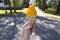 Orange icecream in Ice cream cone in hand