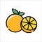 Orange icon, logo vector, flat design, sweet orange, modern concept