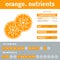 Orange infographic
