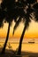 Orange Island Sunrise with Hammock and coconut tree silhouettes