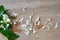 Orange jasmine petal on wooden board