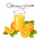 Orange juice with fruit slice vector. Realistic juicy orange with leaves