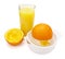 Orange juice preparation fruit