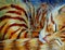 Orange Kitten Sleeping - Acrylic Painting