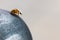 Orange ladybug on a metal sphere