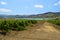 Orange Lake near  Sambuca Di Sicilia Sicily Italy