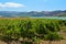 Orange Lake near Sambuca Di Sicilia Sicily Italy